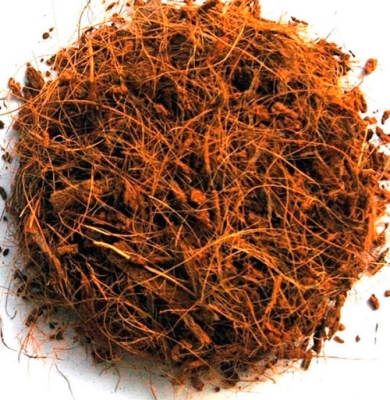 Coconut Substrates