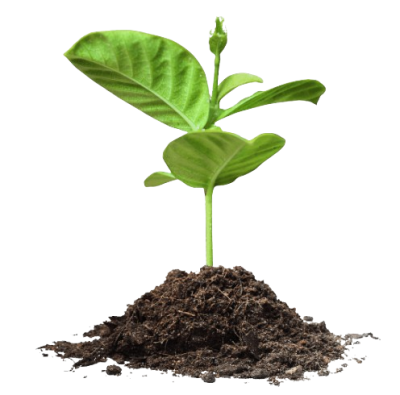 For Growth