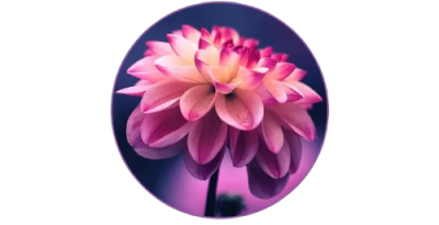 For Flowering