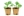 Germination media
