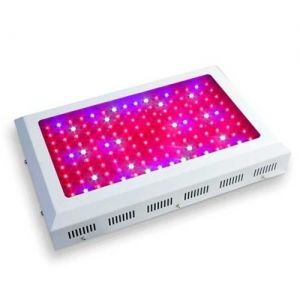 LED LIGHTS