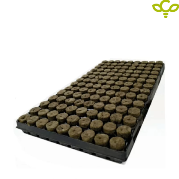 Tray me 126 fole