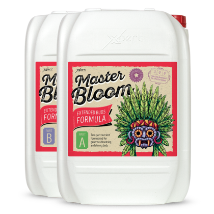 Master Bloom A + B 250ml - pleh mineral për lulëzimin