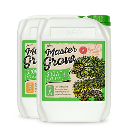 Master Grow A + B 250ml - pleh mineral për rritje