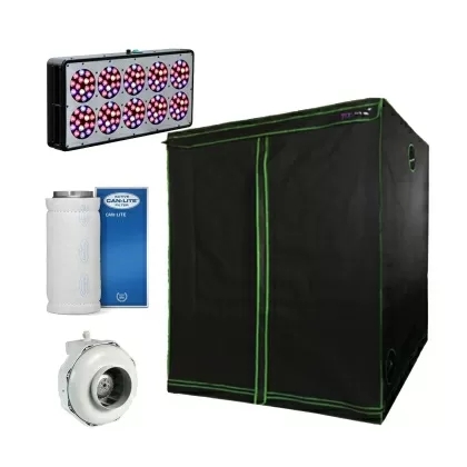 Tomax 240" - Apollo 10 LED + Tomax Tent 240x120x200cm - set for indoor growing