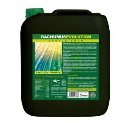 Bachumus evolution crecimiento 