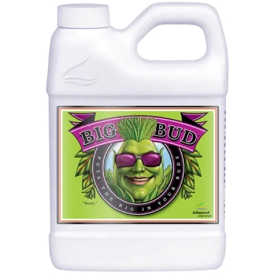Big Bud - Stimulator of color weight and volume