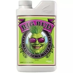 Big Bud - stimulues i peshës dhe vëllimit të ngjyrës