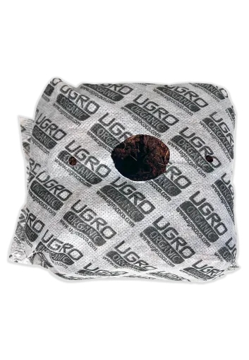 UGRO Coco 2.2L - coconut bar