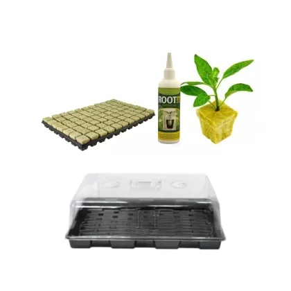 Set for seedlings - Propagator, Mineral wool blocks, Root 