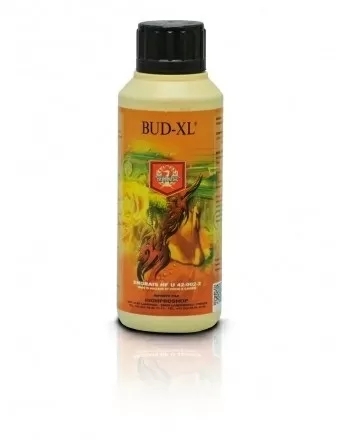 BUD XL - flowering stimulator