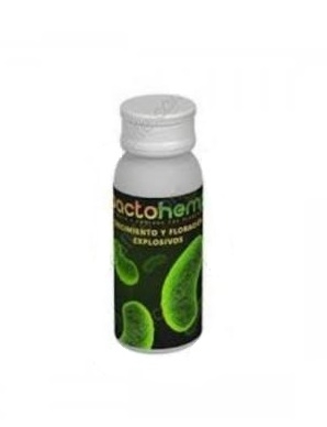 Bactochemp 50ml