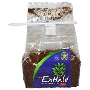 Exhale CO2 bag