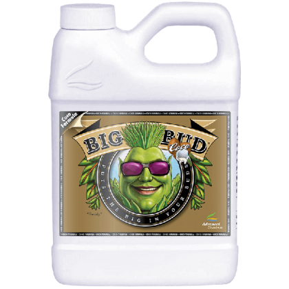 Big Bud Coco 250ml - стимулатор на тегло и обем на цвета в кокос