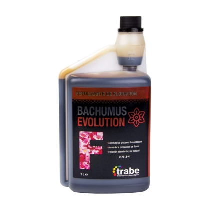 Bachumus Evolution Floracion 1L