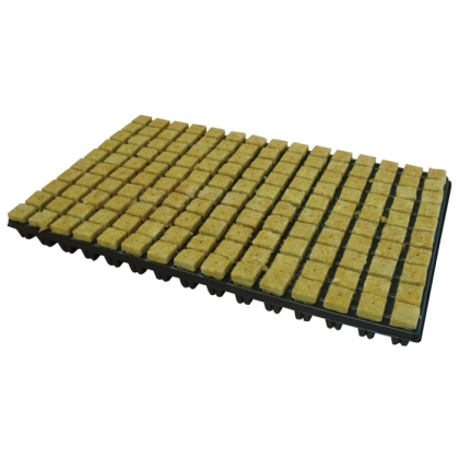 Grodan Tray - тава с 150 блокчета за покълване от минерална вата 