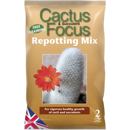 Cactus focus & Succulent Repotting mix 2L