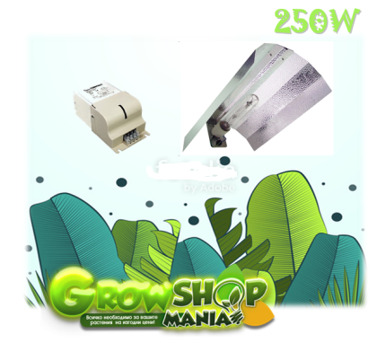 Sylvania 250W set