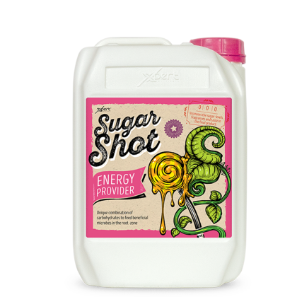 Sugar Shot 5L -Stimuluesi i Lulëzimit