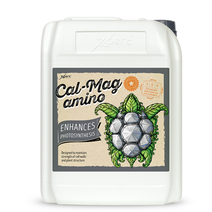Cal-Mag Amino 10L - suplement kalciumi dhe magnezi