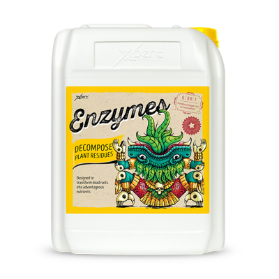 Enzymes 10L - Enzyme supplement