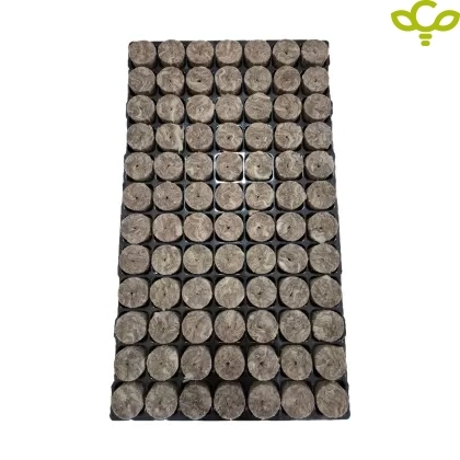tray with 84 nests