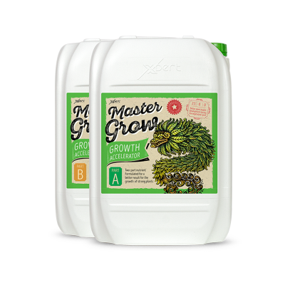 Master Grow A + B 250ml