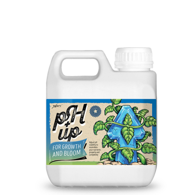 pH lart për rritje dhe lulëzim250ml - rregullator pH