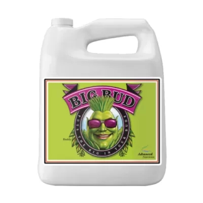 Big Bud - stimulues i peshës dhe vëllimit të ngjyrës