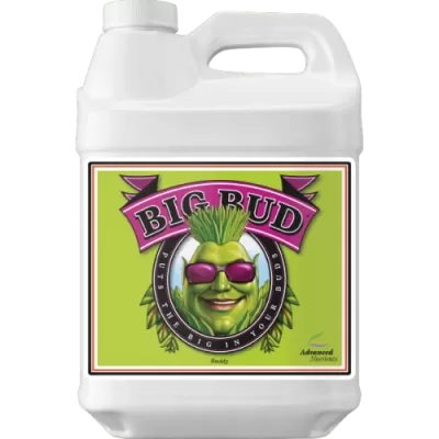 Big Bud - stimulues i peshës dhe vëllimit të ngjyrës