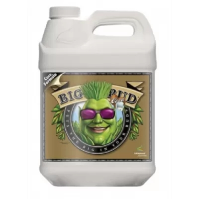 Big Bud Coco - stimulues i peshës dhe vëllimit të ngjyrës së kokosit