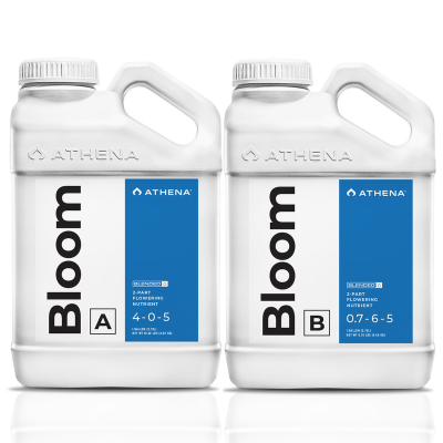 Athena Bloom A+B - Pleh për lulëzimin