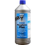 Fosfor Plus
