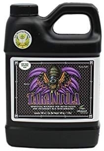 Tarantula - stimulues i rrënjëve