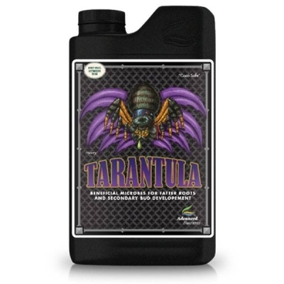 Tarantula - stimulues i rrënjëve