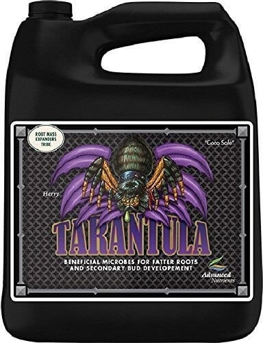 Tarantula - stimulues i rrënjëve