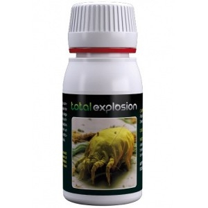 Total explosion 60ml