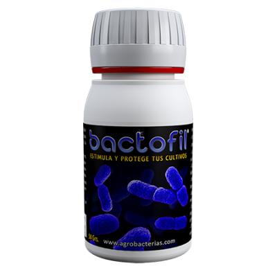 Bactofil 50g - stimulues i rritjes