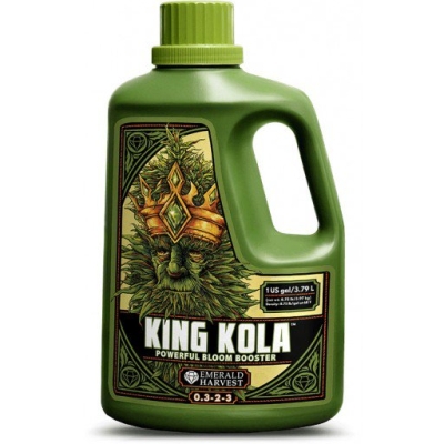 King Kola 3.79L - stimulues i lulëzimit