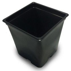 Plastic Square Pot 2L