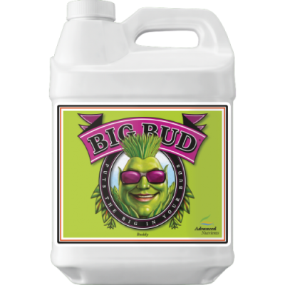 Big Bud 10L - stimulues i peshës dhe vëllimit të ngjyrës