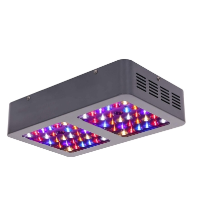 LED 300W