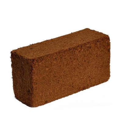 BN Coco - brick