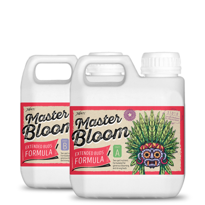 Master Bloom A + B 1L - pleh mineral për lulëzimin