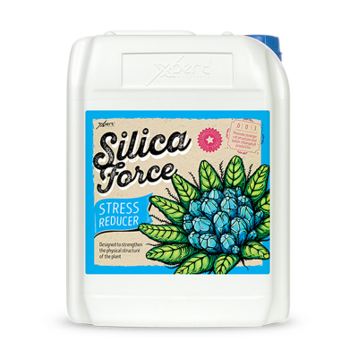 Silica Force 10L - Suplement Silikoni