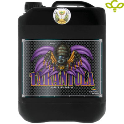 Tarantula 4L